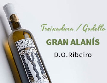 GRAN ALANIS DO RIBEIRO Spanish White Wine 750ml